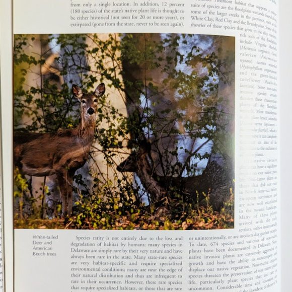 SPECIAL Signed 1st Ed Wild Delaware Kevin Fleming Coffee Table Book 4 Prints PKG - Picture 12 of 16